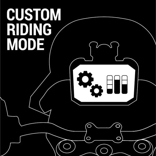 CUSTOM RIDING MODE Null Moto Guzzi